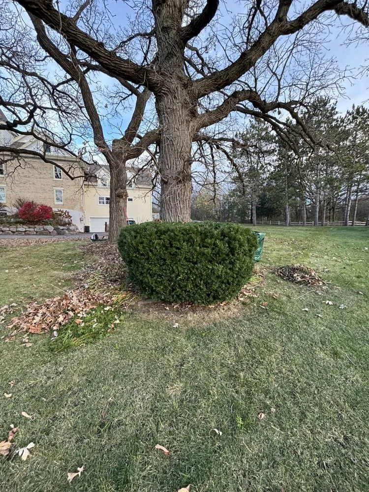 Custom yard maintenance in Elkhorn, WI - Donley Seasonal Maintenance