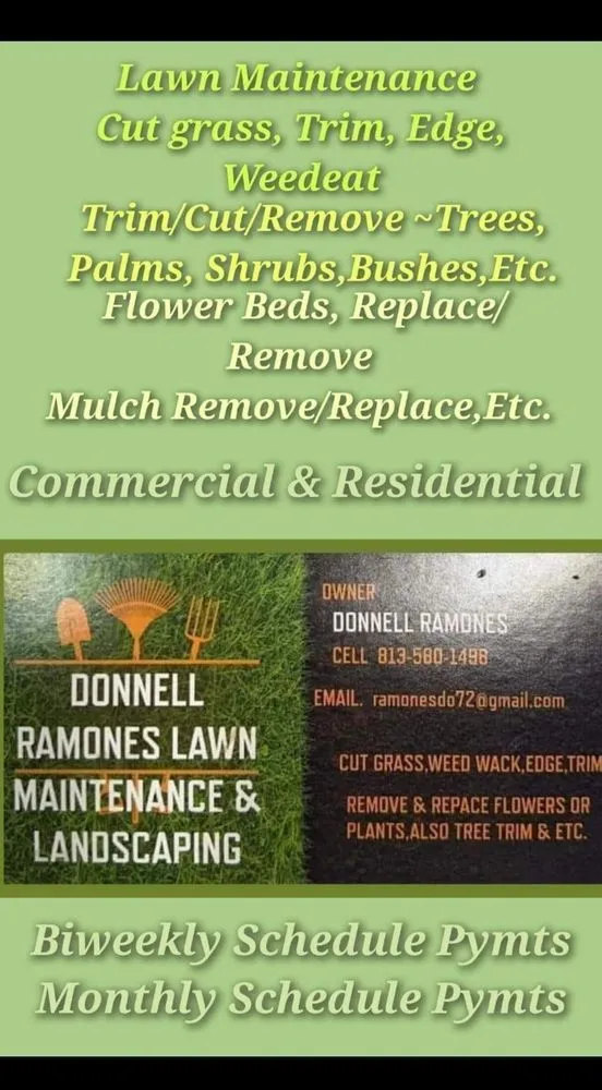 Top-rated yard cleanup service experts serving Ruskin, FL - Donnell Ramones Lawn Maintenance & Landscaping