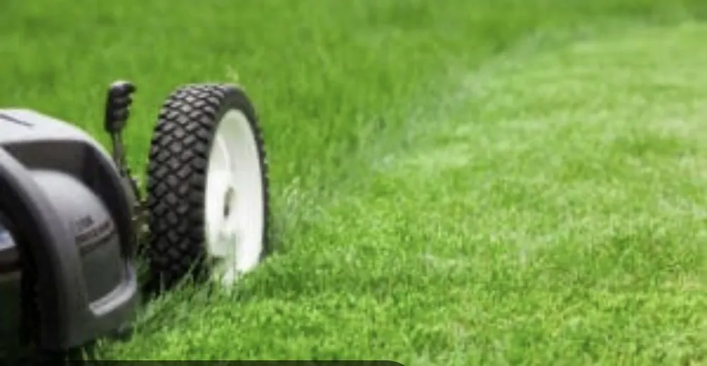 Professional outdoor landscaping in Jonesboro, AR by Donnie’s Lawn Care