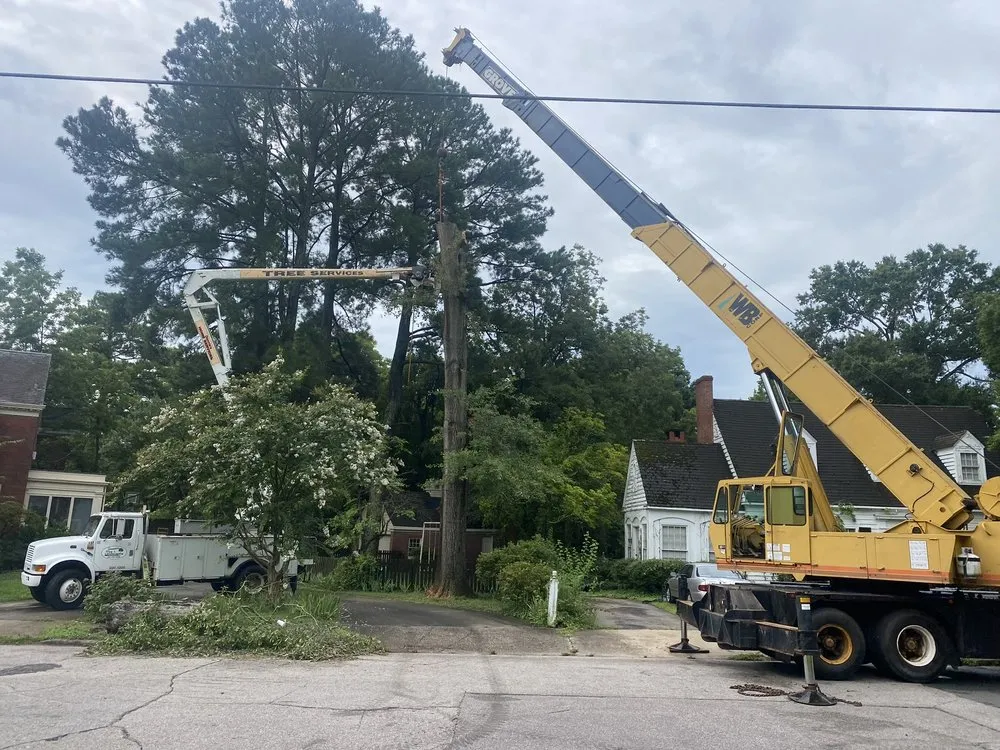 Top-rated landscaping services in Wilson, NC by Donnie’s Tree & Landscaping Services