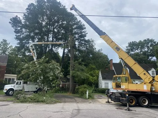 Donnie’s Tree & Landscaping Services