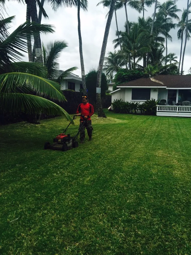 Top-rated outdoor landscaping in Honolulu, HI by Donnie’s Yard Service