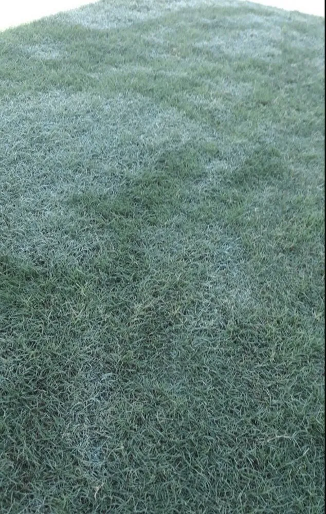 Reliable landscaping services experts serving Atlanta, GA - Donny & Donny Lawn Care and Pressure Washing