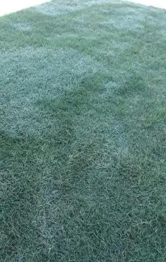 Custom residential landscaping for outdoor upgrades across Atlanta, GA - Donny & Donny Lawn Care and Pressure Washing