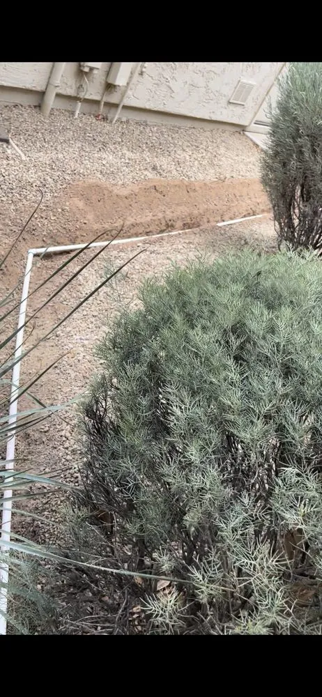 Trusted lawn care service in Casa Grande, AZ - Donny & Sons Landscaping