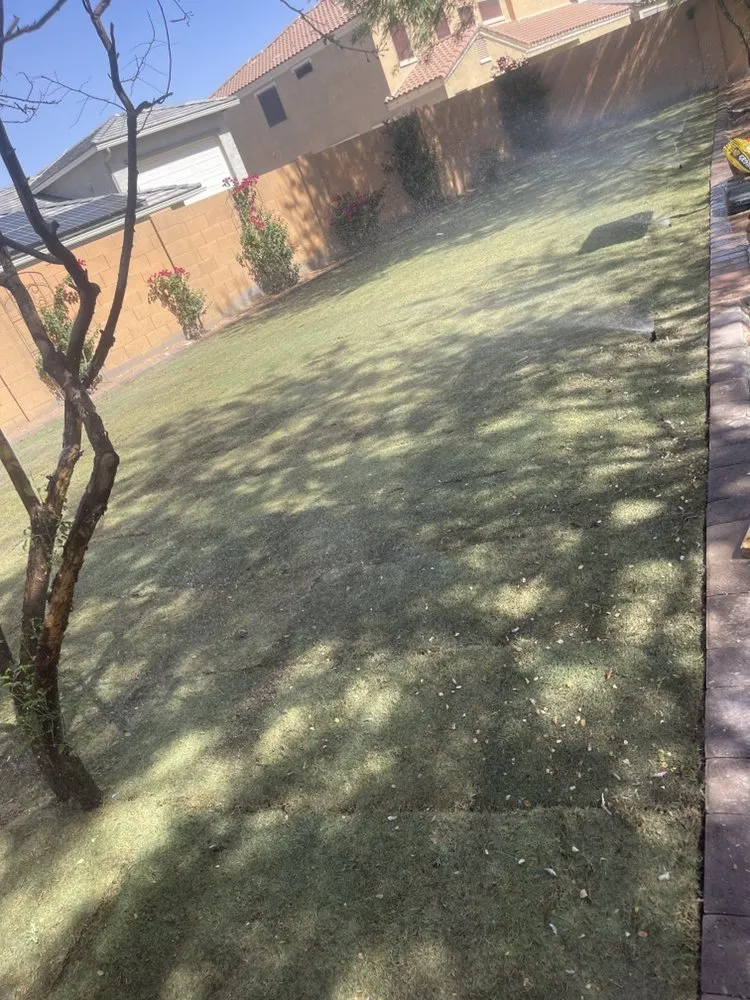 Affordable landscape design for outdoor upgrades across Casa Grande, AZ - Donny & Sons Landscaping