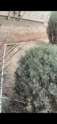 Donny & Sons Landscaping Logo