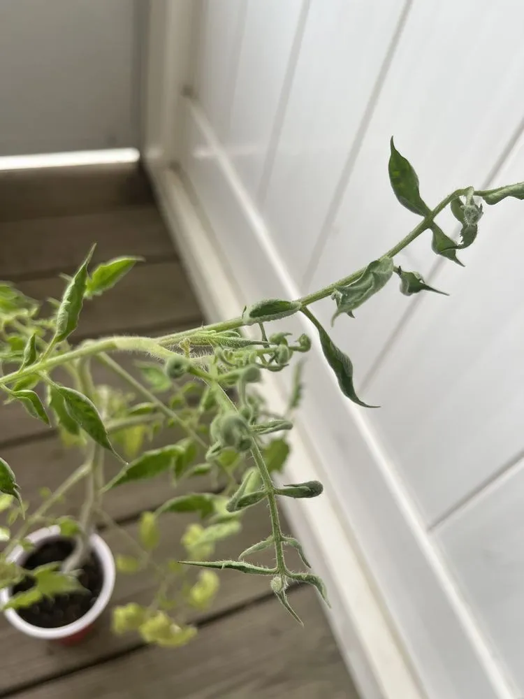 Trusted landscape design with custom design across Catonsville, MD - Donovan Landcare