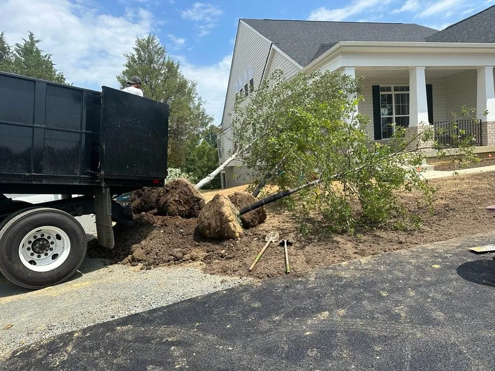 Professional yard cleanup service experts serving Edgewater, MD - Donovan Landscaping