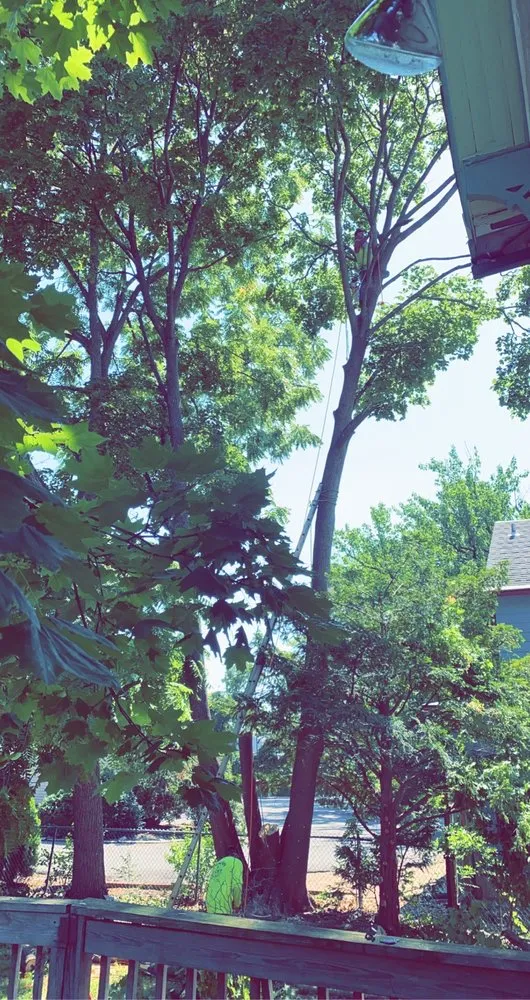 Trusted lawn mowing service near you in Hillsborough, NJ by Donovan Lawncare