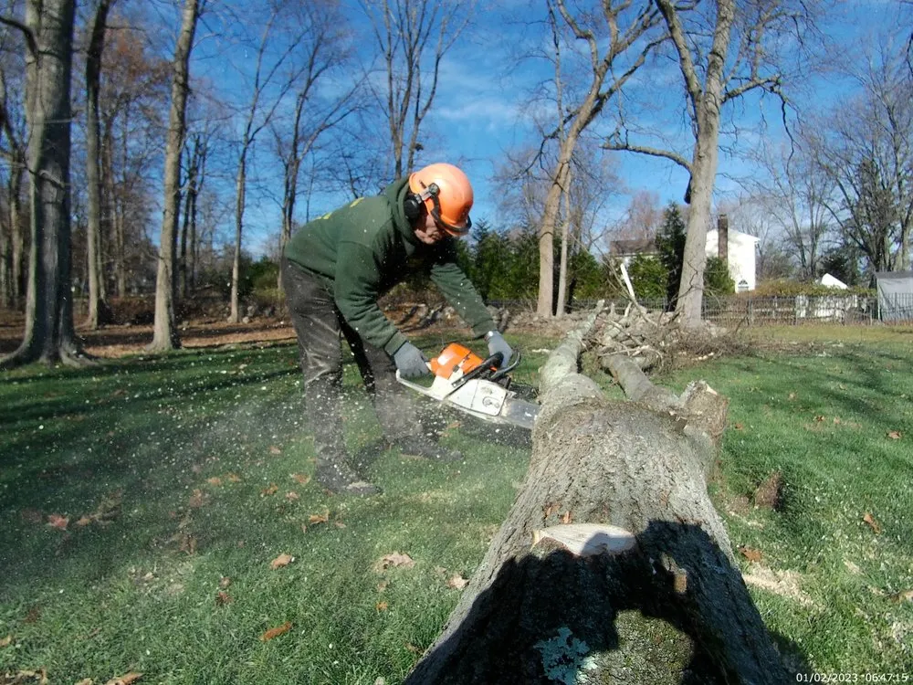 Reliable residential landscaping near you across Bergenfield, NJ - Donovan Tree King