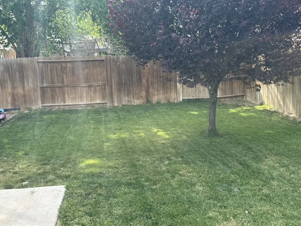 Trusted landscape design in Roswell, NM - Donovans Lawn care