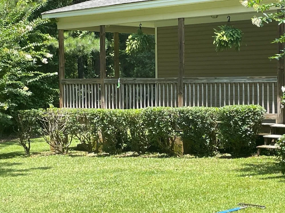 Affordable yard cleanup service experts serving Columbia, SC - Don's Enterprises
