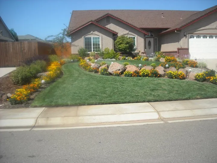Local yard maintenance in Redding, CA - Don's Handyman Service