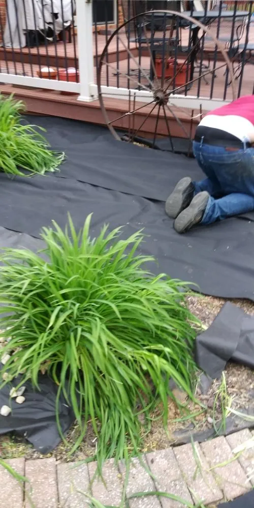 Professional landscaping services in Swansea, IL by Don's Home Remodeling