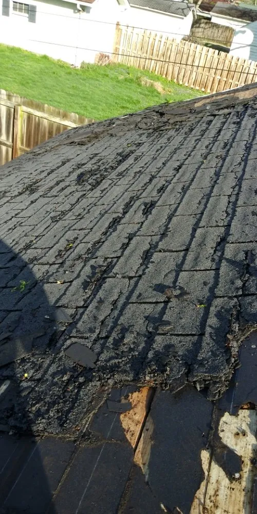 Professional landscaping services for beautiful yards in Swansea, IL by Don's Home Remodeling