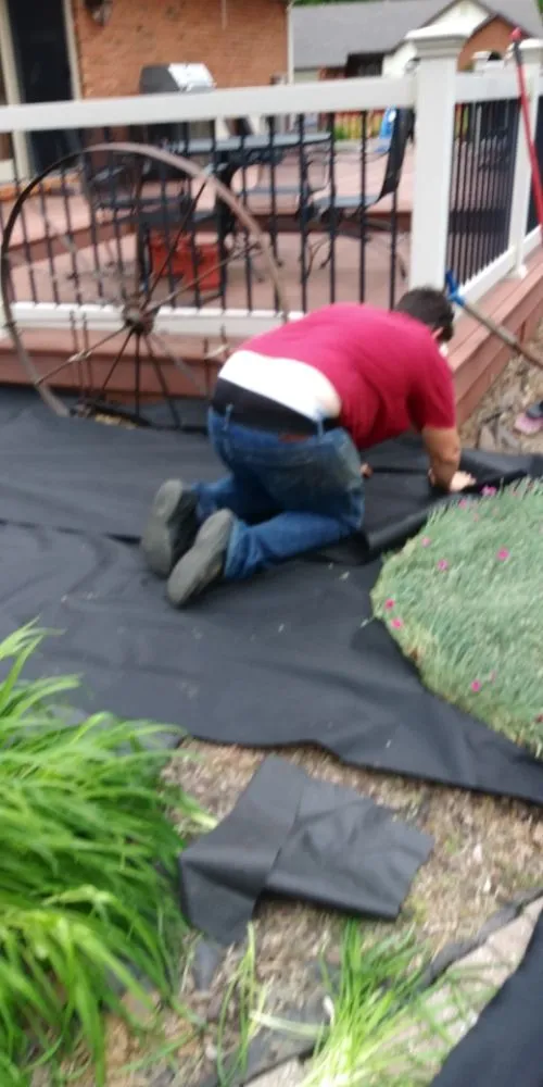 Professional lawn mowing service in Swansea, IL - Don's Home Remodeling