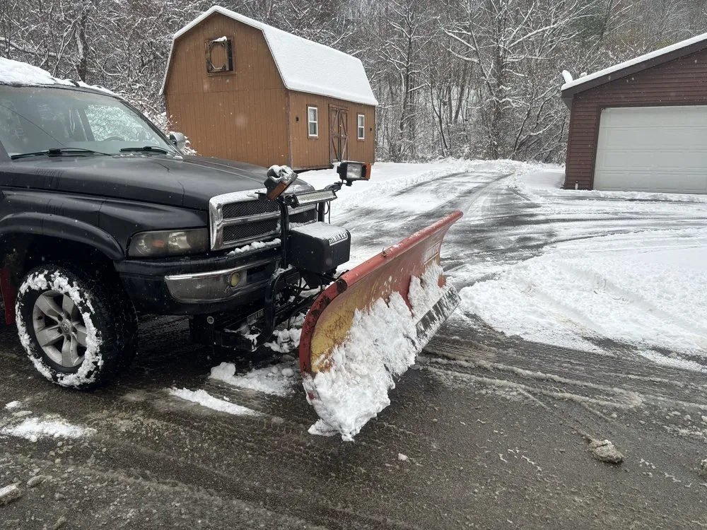 Professional yard cleanup service experts serving Friendship, NY - Don's Landscape Services