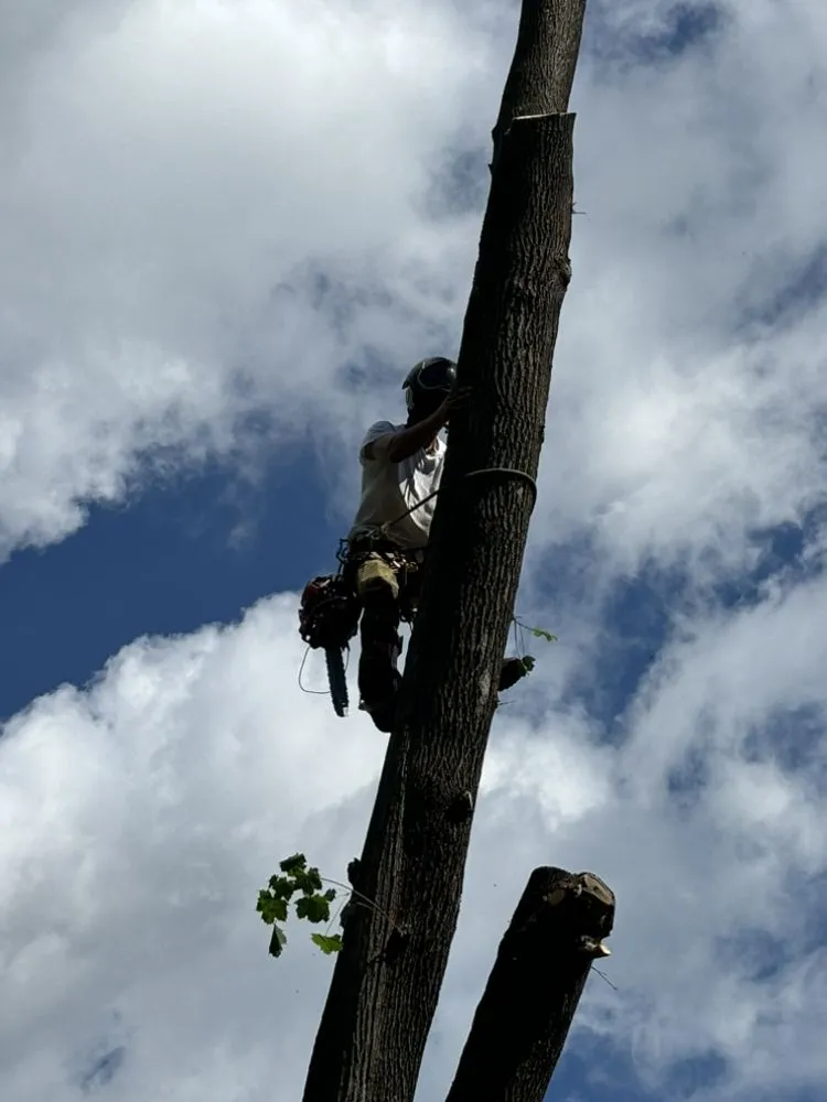 Top-rated yard maintenance in Hudson, NY by Dons Landscaping