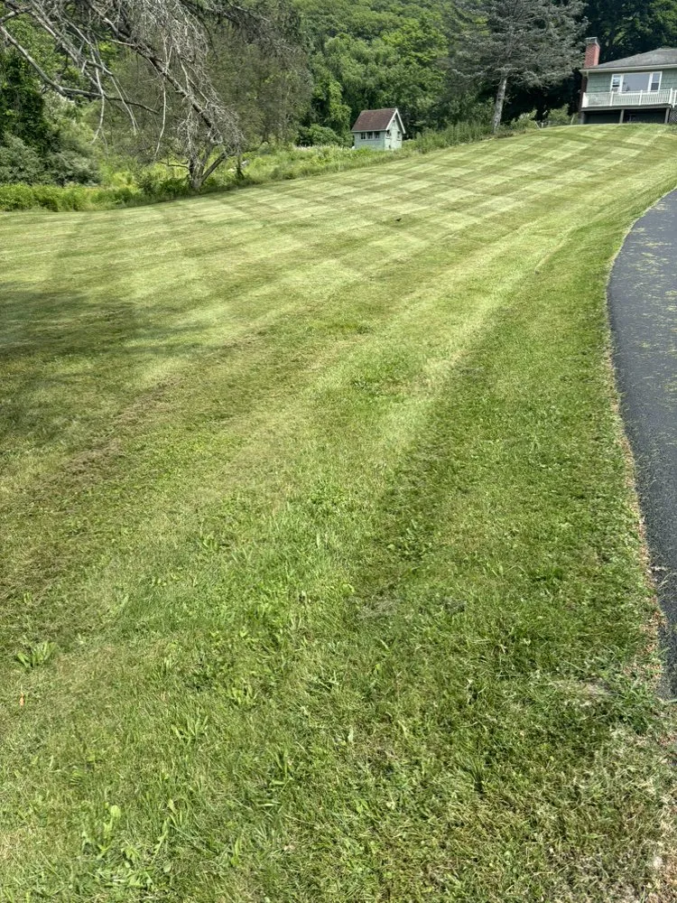 Professional yard maintenance experts serving Hudson, NY - Dons Landscaping