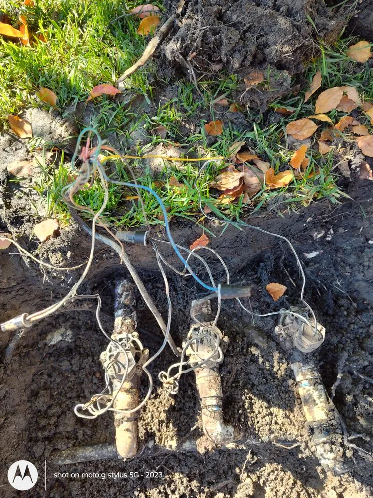 Professional landscape installation for year-round maintenance in Santa Ana, CA by Don's Landscaping