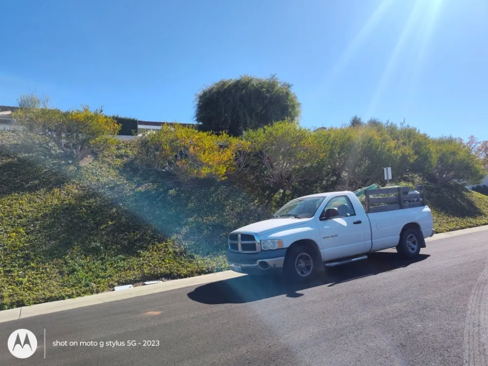 Expert outdoor landscaping in Santa Ana, CA - Don's Landscaping