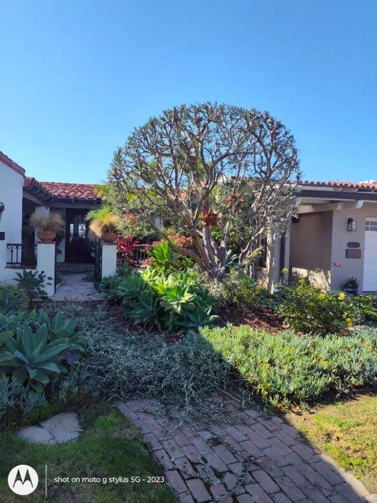 Custom yard maintenance experts serving Santa Ana, CA - Don's Landscaping