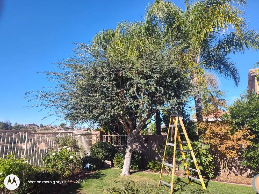 Expert lawn mowing service for outdoor upgrades in Santa Ana, CA by Don's Landscaping