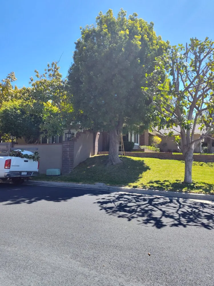 Expert garden landscaping experts serving Santa Ana, CA - Don's Landscaping