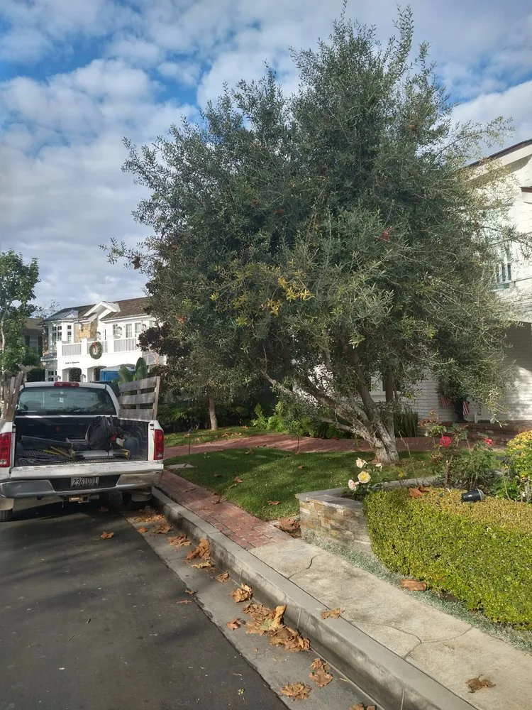 Trusted garden landscaping for homes in Santa Ana, CA by Don's Landscaping