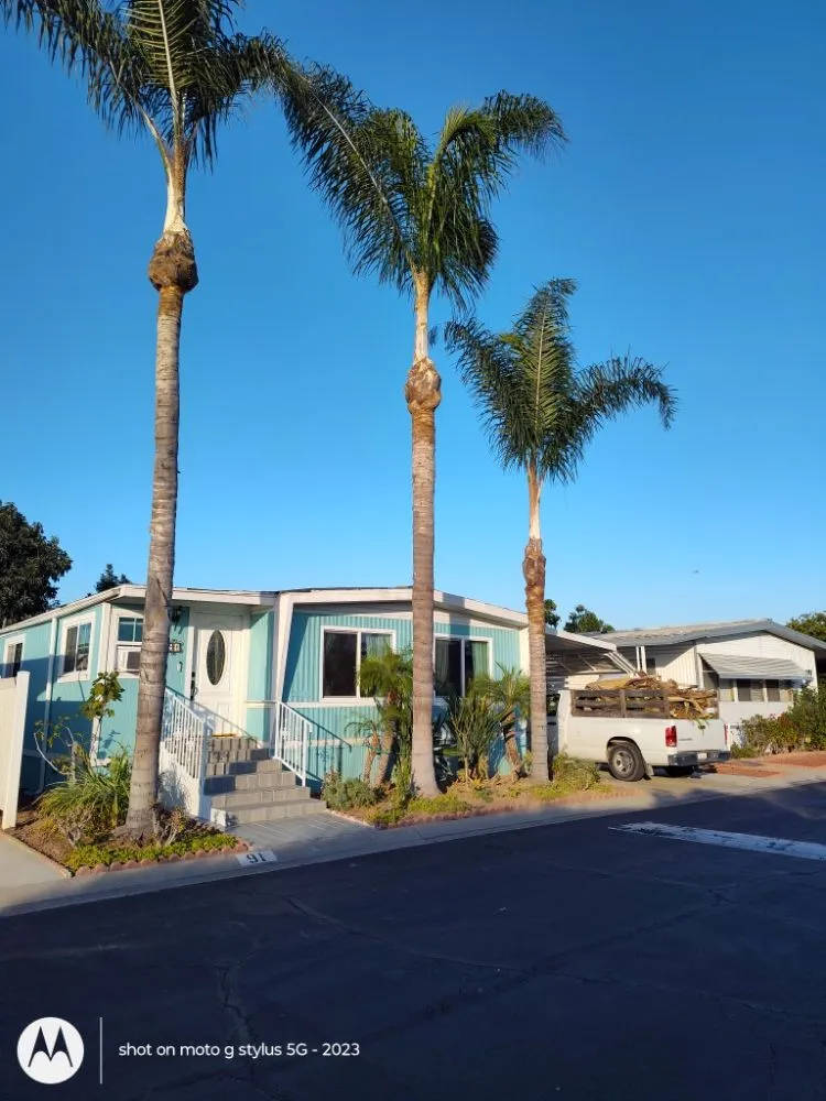 Reliable lawn care service for beautiful yards in Santa Ana, CA by Don's Landscaping