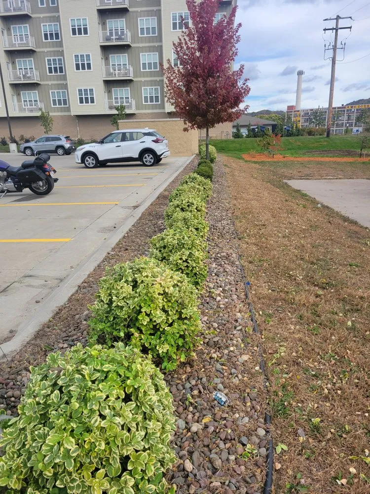 Affordable lawn care service experts serving Sparta, WI - Don's Lawn Care & More