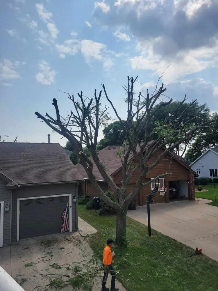 Trusted outdoor landscaping for year-round maintenance in Sparta, WI by Don's Lawn Care & More