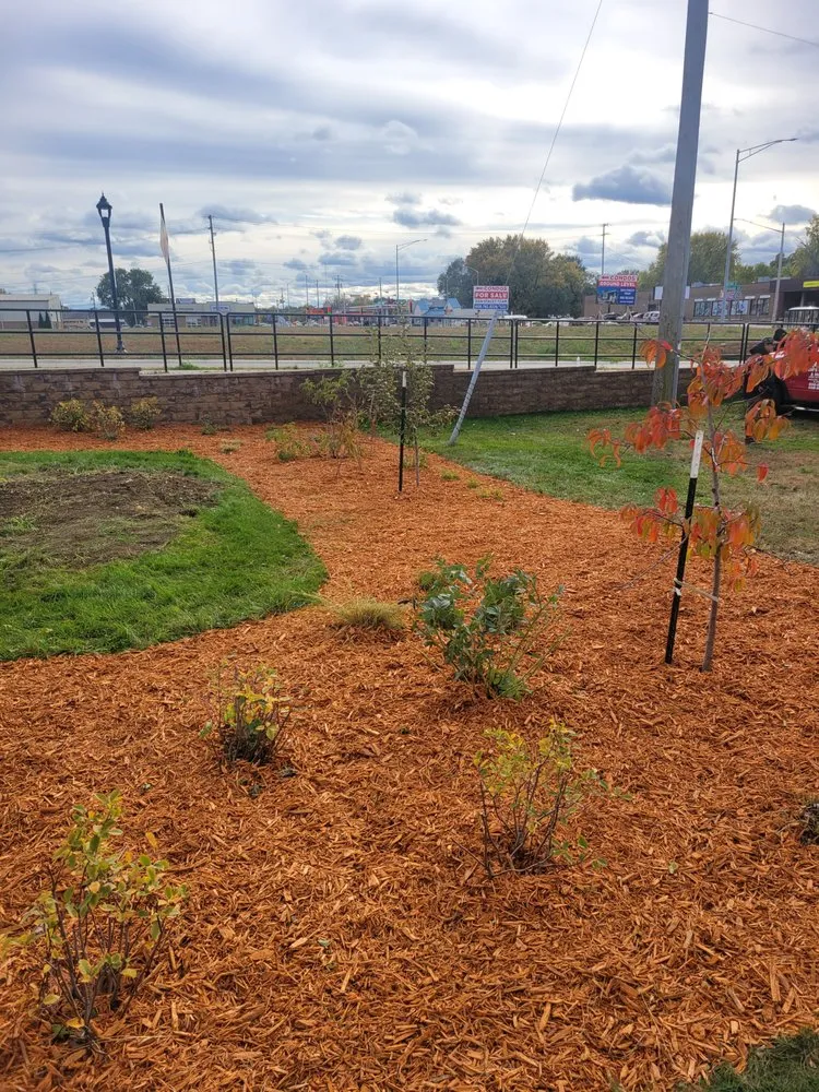 Professional yard maintenance in Sparta, WI - Don's Lawn Care & More