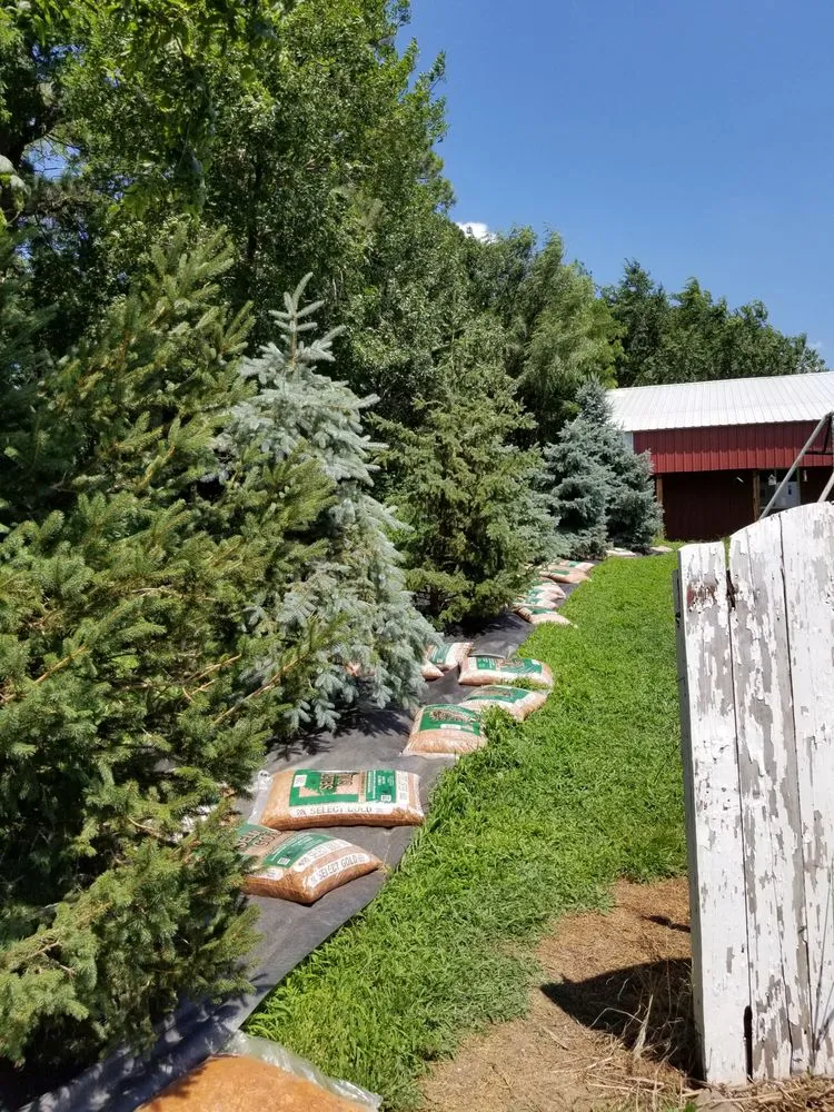 Professional landscaping services in David City, NE - Don’s Lawn Care