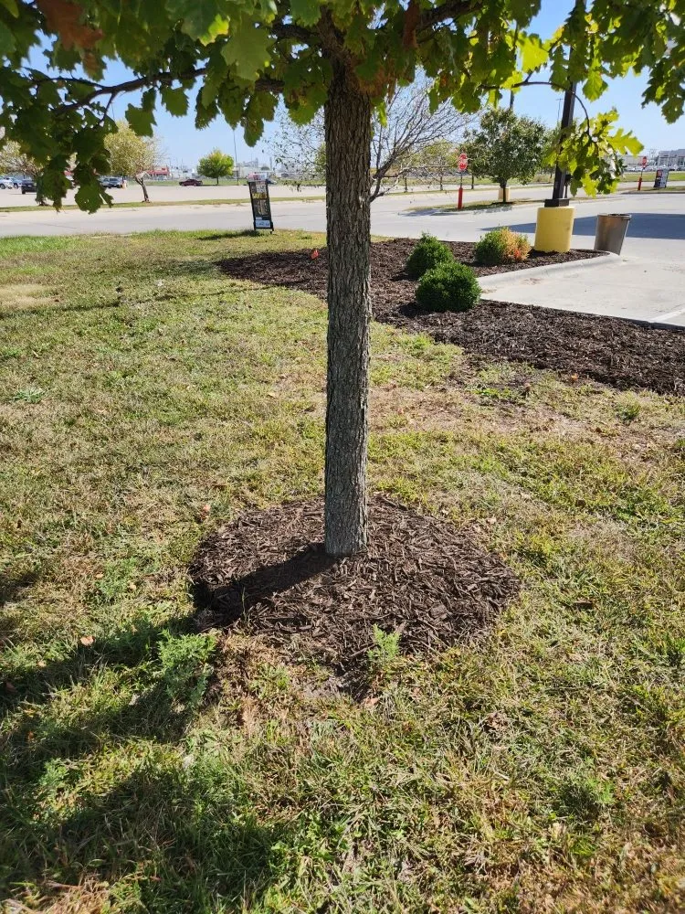Local landscaping services experts serving David City, NE - Don’s Lawn Care