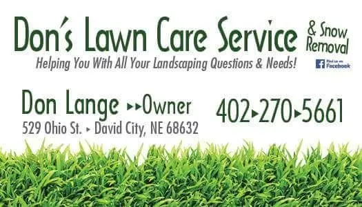 Expert yard cleanup service for year-round maintenance in David City, NE by Don’s Lawn Care