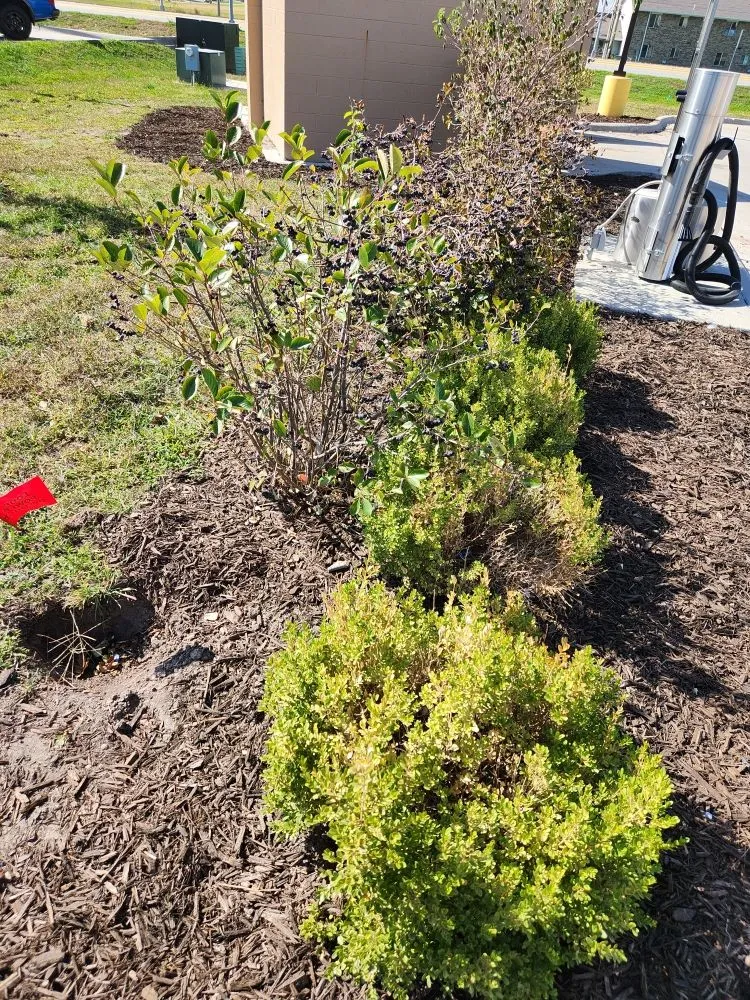 Trusted landscaping services near you in David City, NE by Don’s Lawn Care