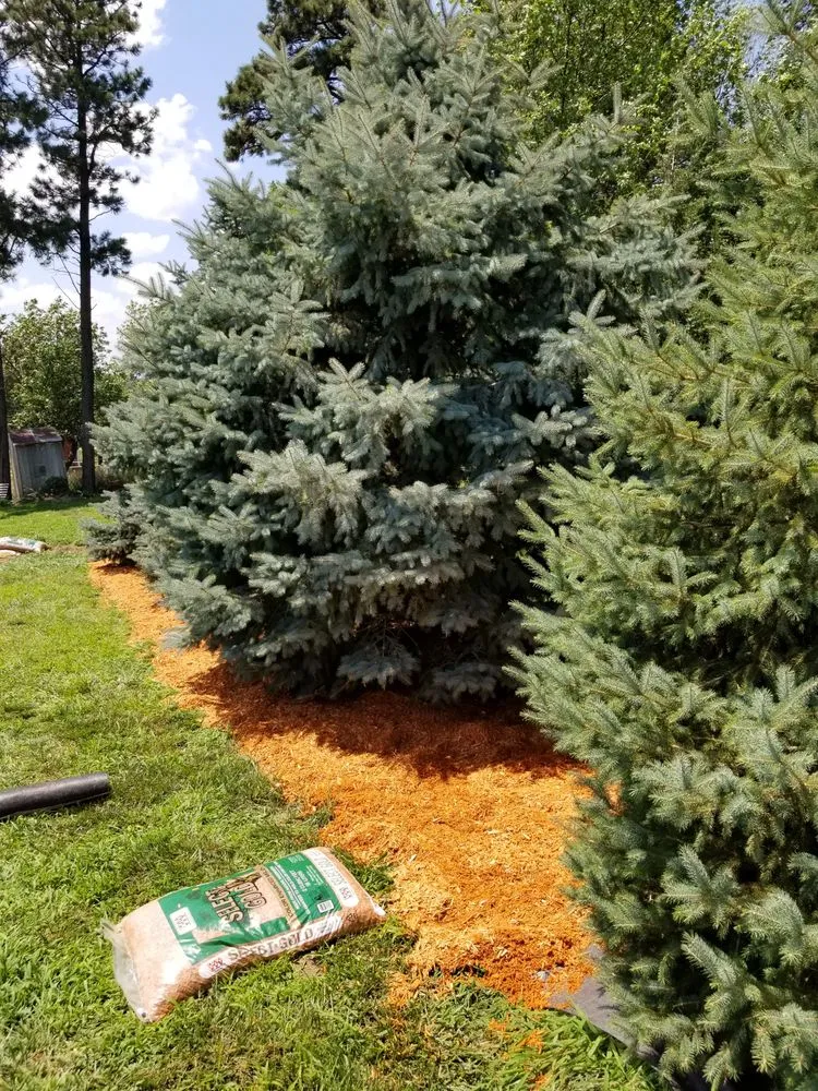 Professional landscape installation in David City, NE by Don’s Lawn Care