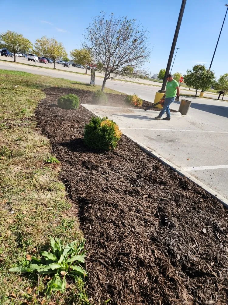 Top-rated yard maintenance for beautiful yards across David City, NE - Don’s Lawn Care