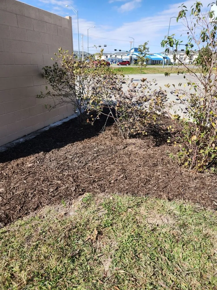 Trusted garden landscaping in David City, NE - Don’s Lawn Care