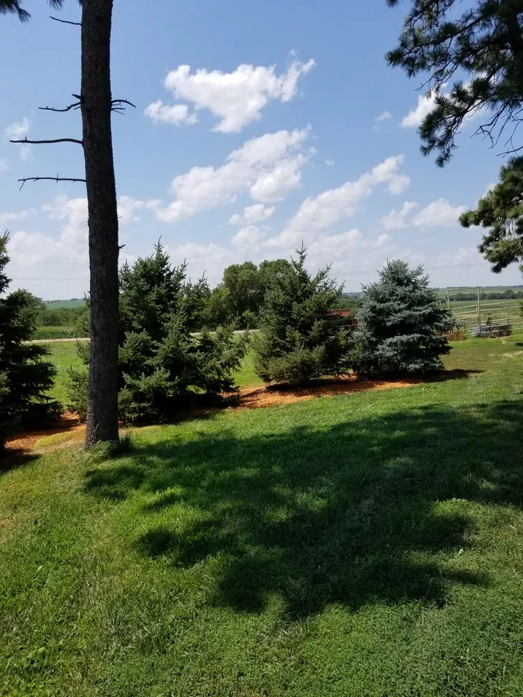 Local outdoor landscaping in David City, NE - Don’s Lawn Care