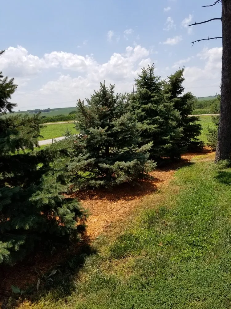 Expert garden landscaping experts serving David City, NE - Don’s Lawn Care