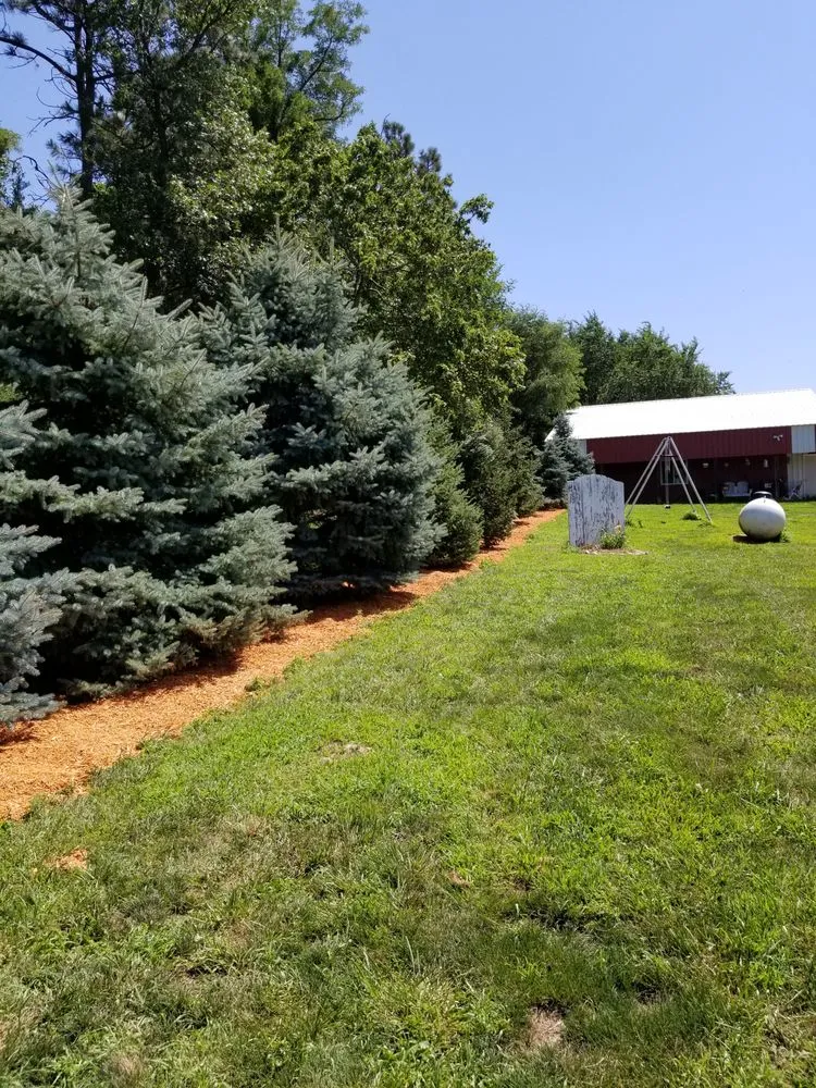 Reliable landscape design for residential properties in David City, NE by Don’s Lawn Care