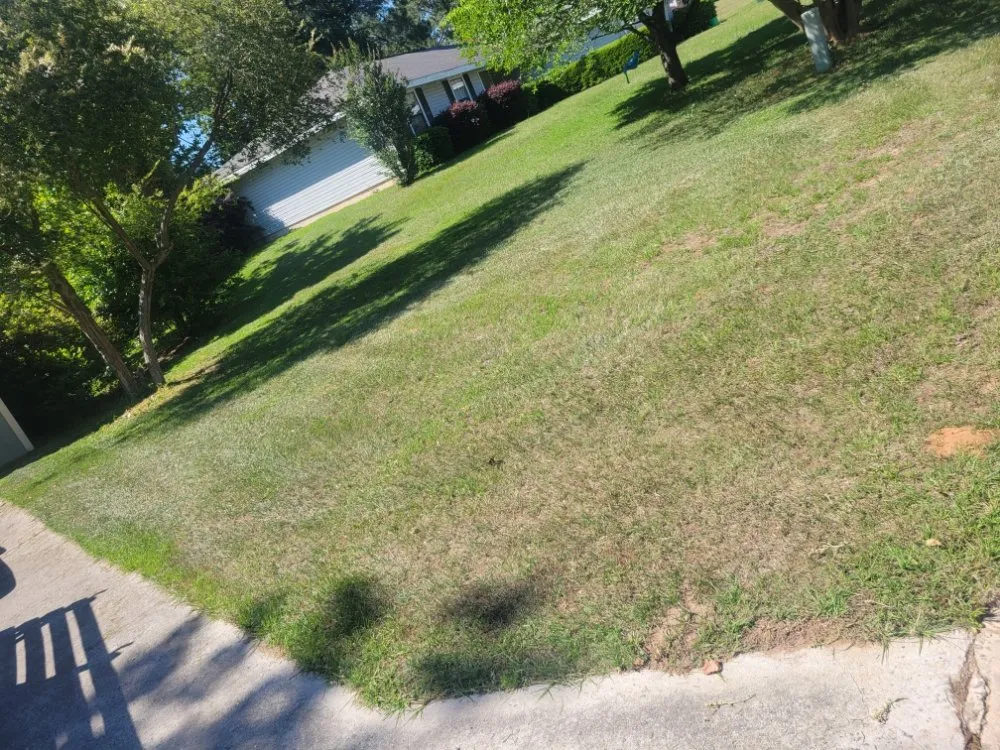 Expert residential landscaping in Warner Robins, GA by Dons lawn Care Services