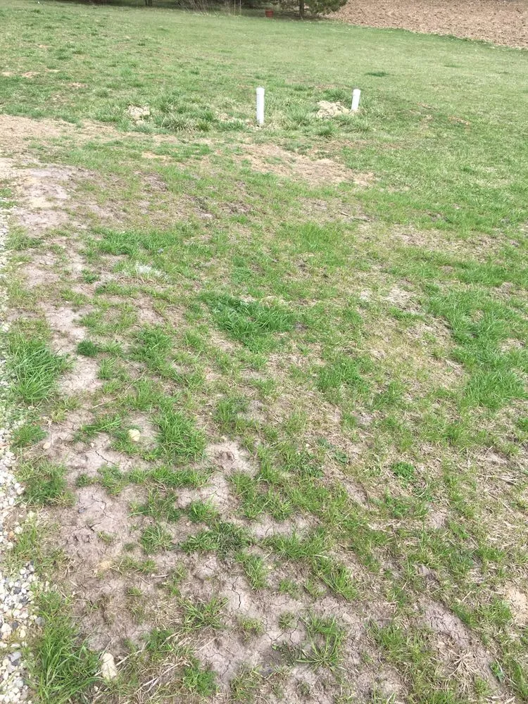 Custom lawn mowing service in Deer Park, IL - Don's Quality Landscaping