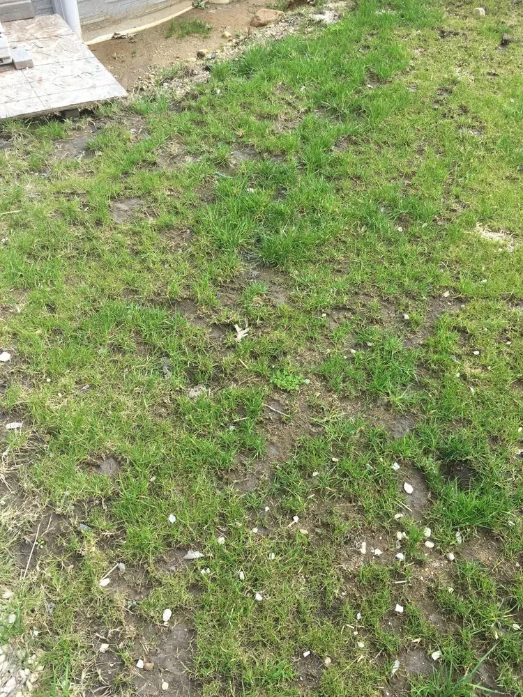 Affordable landscaping services with custom design in Deer Park, IL by Don's Quality Landscaping