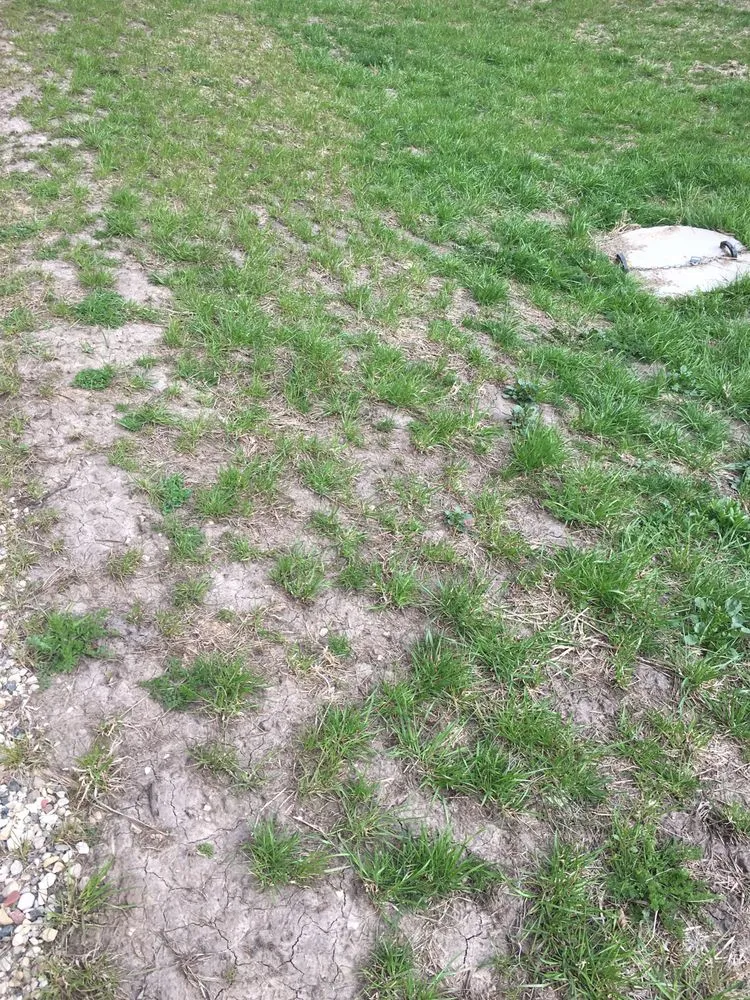 Trusted landscape installation in Deer Park, IL by Don's Quality Landscaping