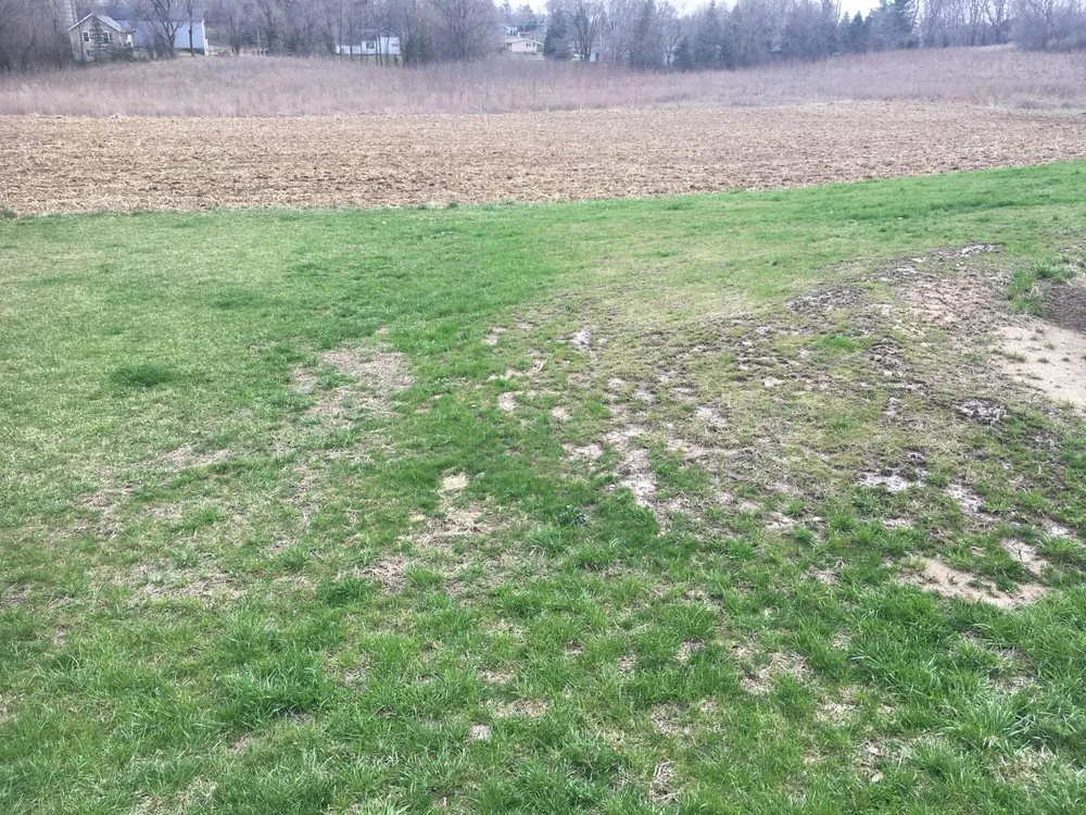 Reliable garden landscaping for beautiful yards in Deer Park, IL by Don's Quality Landscaping