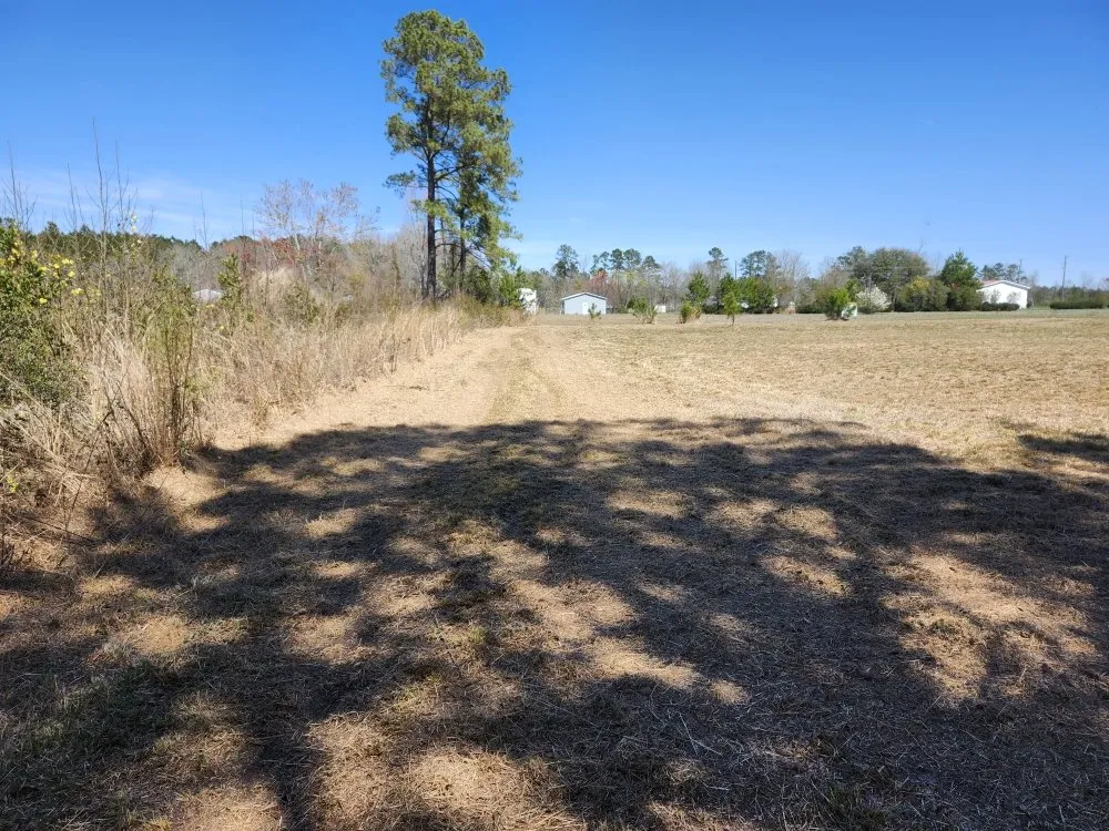 Reliable residential landscaping in Conway, SC by Don”t Do It Yourself Lawn Care